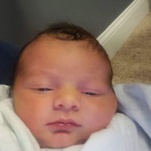 Meet your Posher, Paula